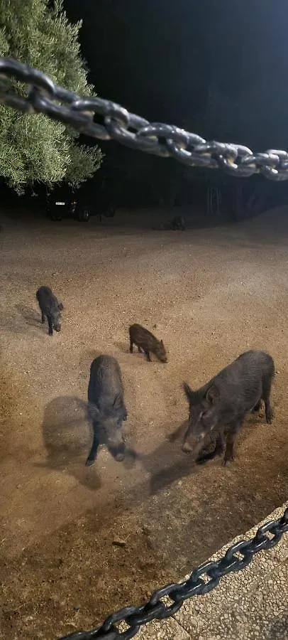 Alojamiento Turistico El Pantano De Cazorla Coto Rios