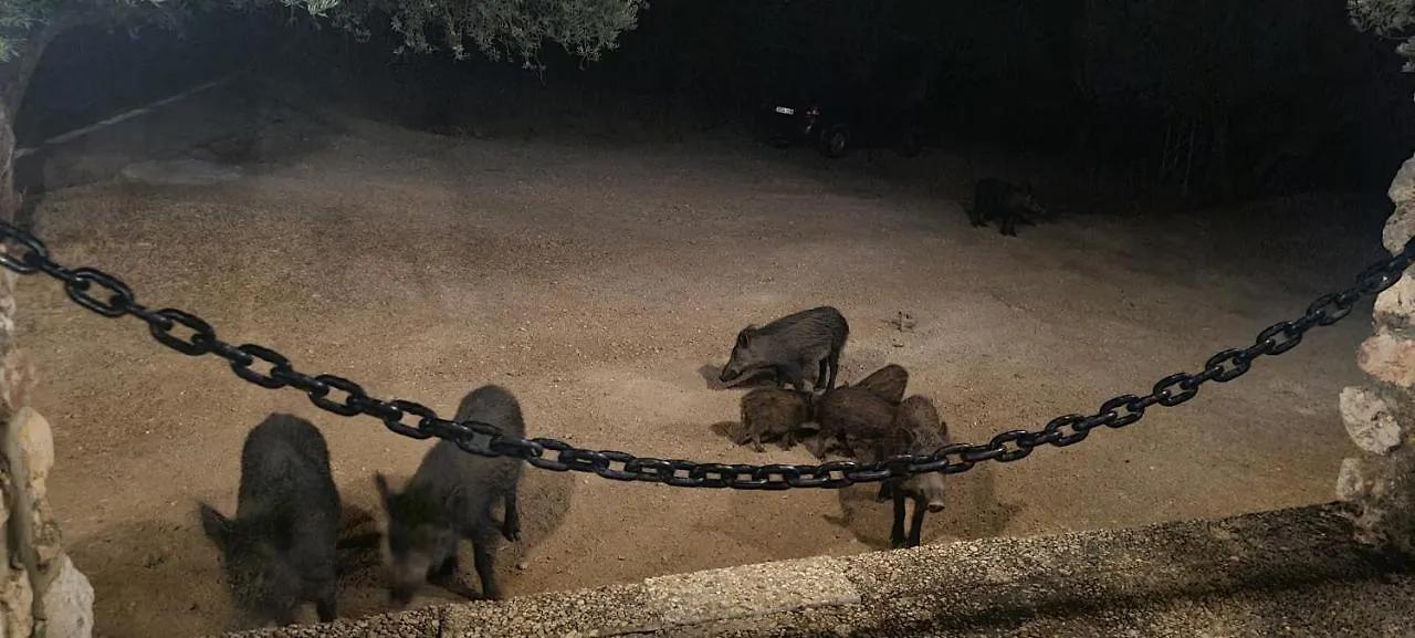 Alojamiento Turistico El Pantano De Cazorla Coto Rios Feriested